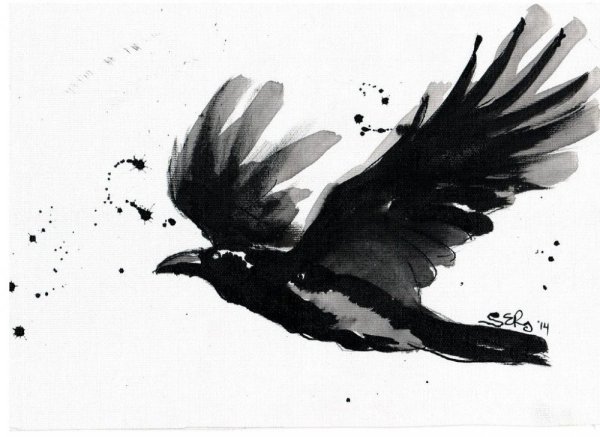 Тату ворон в полете