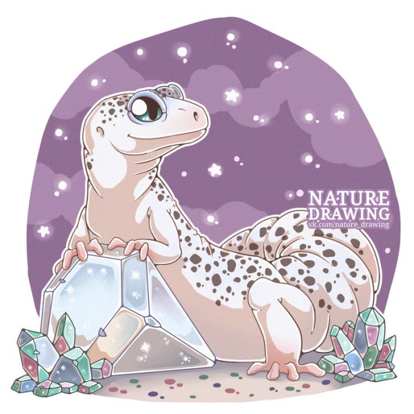 Чиби эублефары