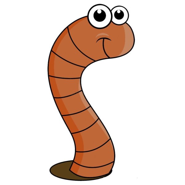 Червяк Анатолий