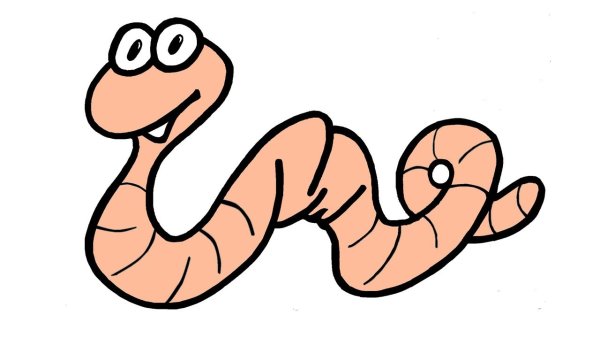 Червячок на прозрачном фоне