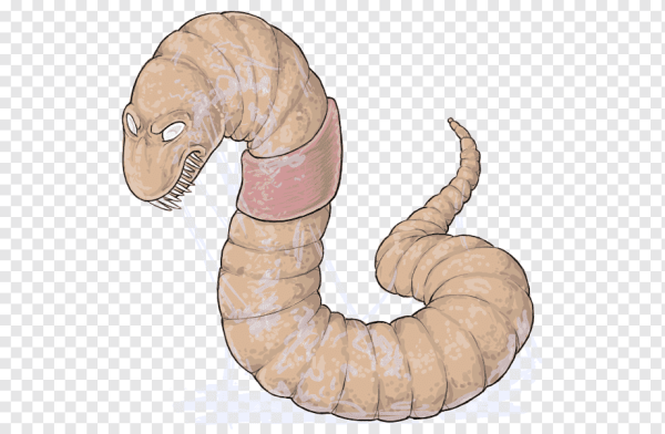 Раскраска червячок