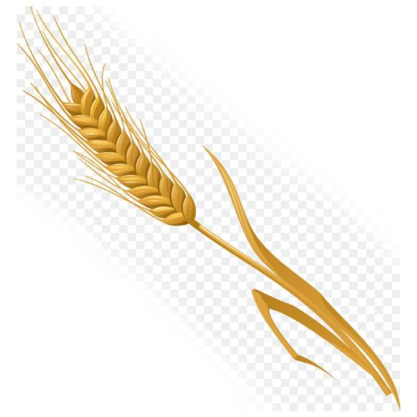 Векторный Колос пшеницы