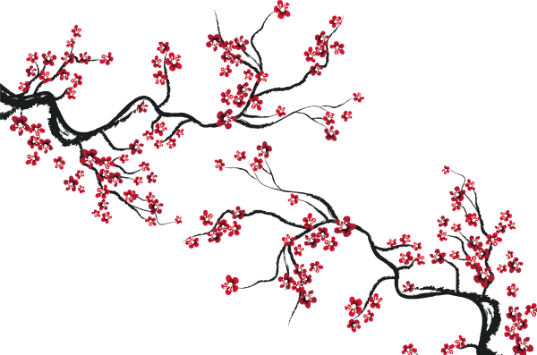 Сакура дерево рисунок