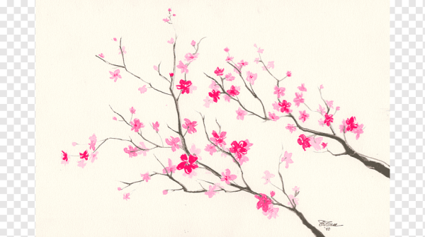 Цветочки на ветке карандашом