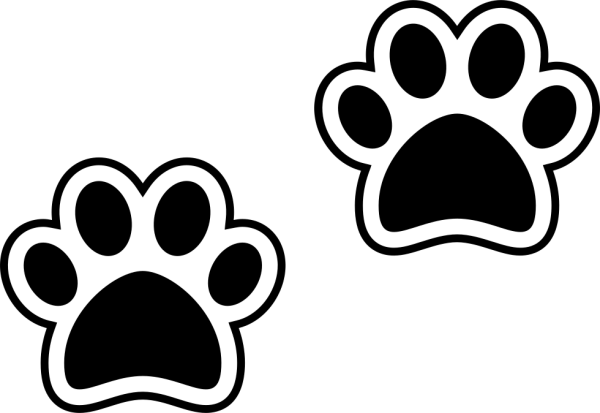 Следы лапок Щенячий патруль