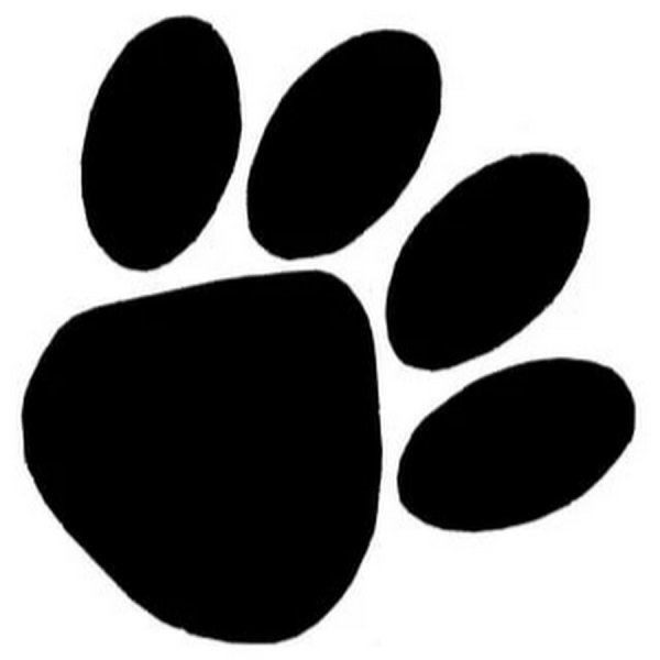 Отпечаток лапы собаки