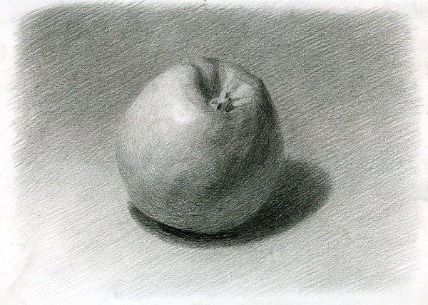 Натюрморт рисунок карандашом