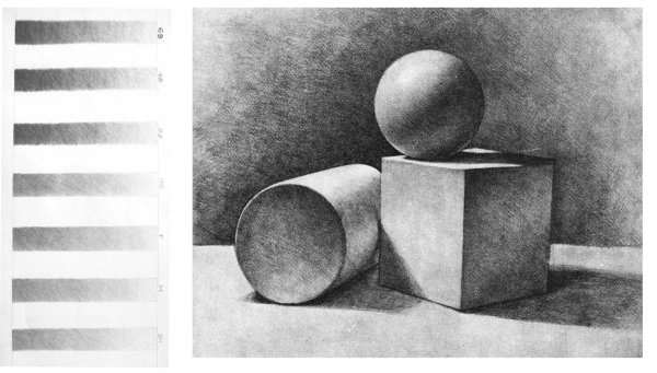 Натюрморт карандашом