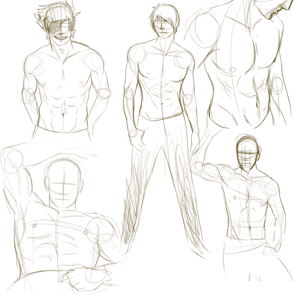 Торс зарисовки