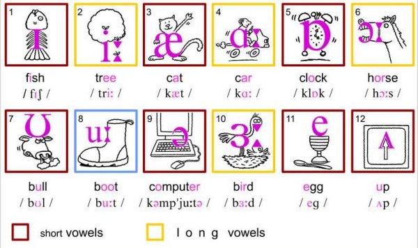Транскрипция в английском языке для детей