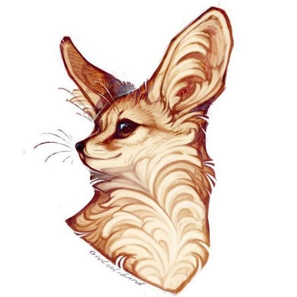 Giulialibard лиса