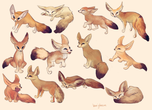 Фенек референс