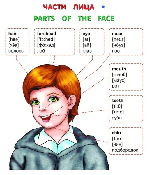 Английские слова для детей