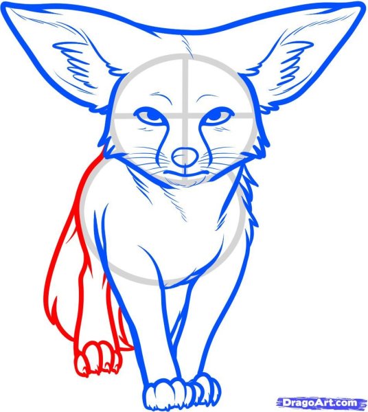 Фенек карандашом для срисовки