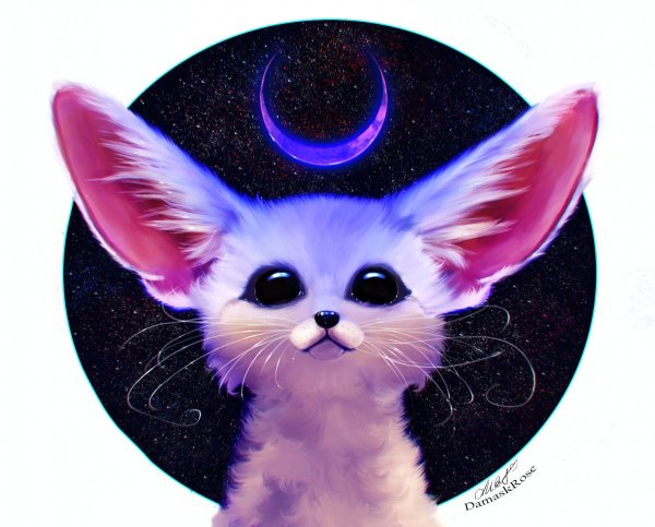 Аватар фенек