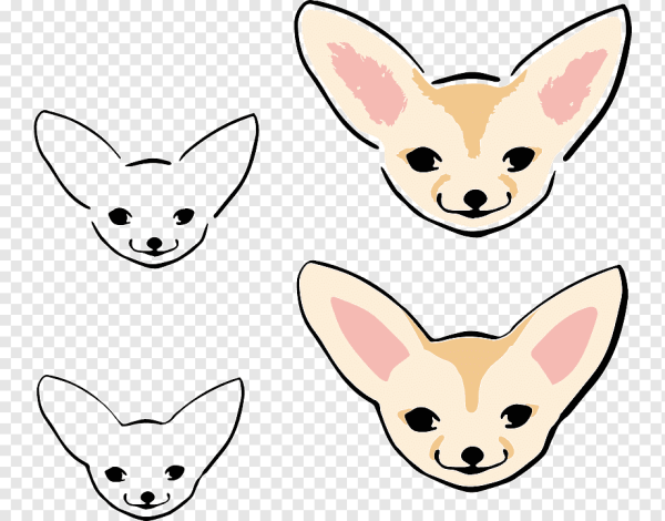 Фенек и чихуахуа