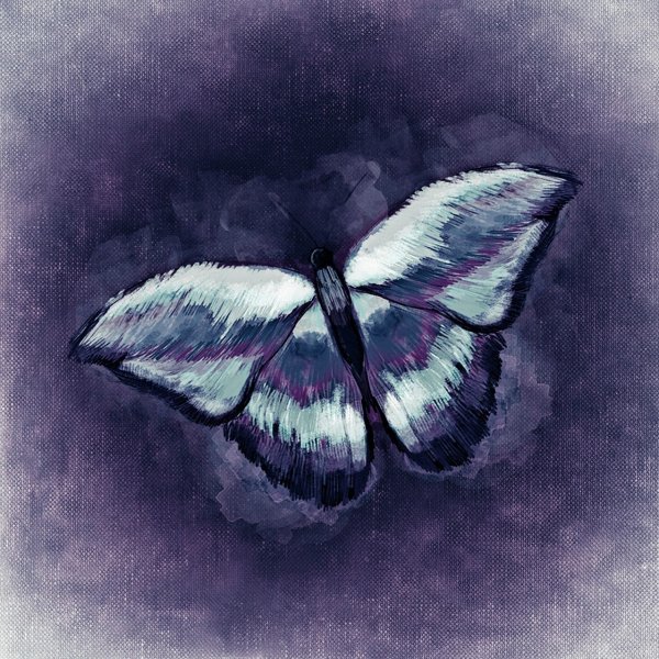 Бабочка эскиз