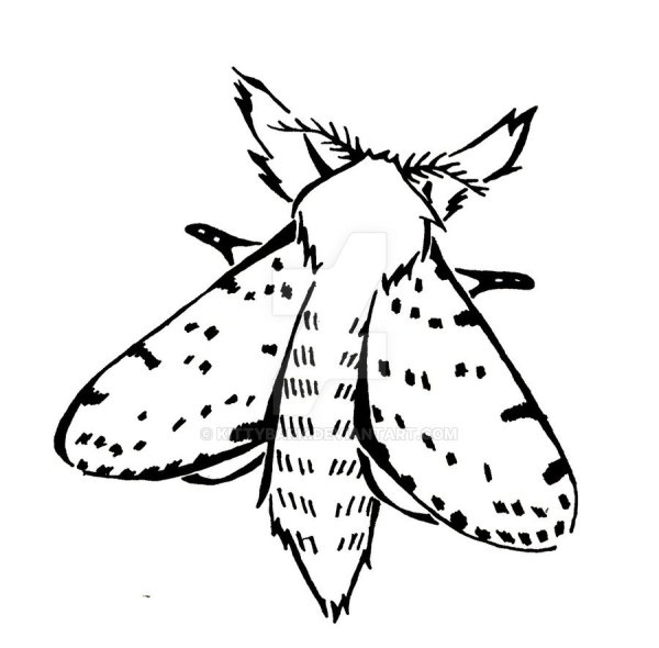 Моль раскраска для детей