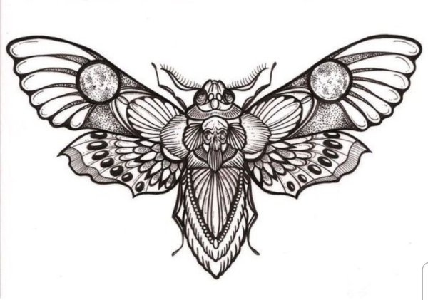 Цикада Татуировка