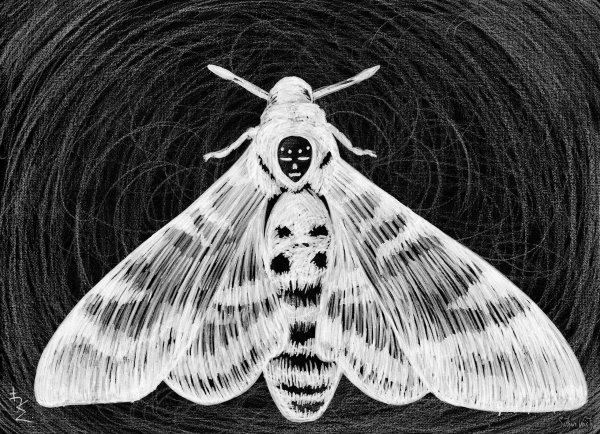 Бражник мертвая голова арт