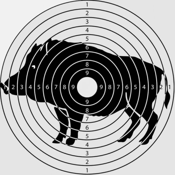 Мишень для стрельбы из лука а4