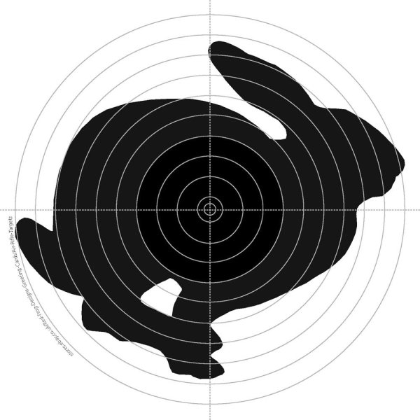 Мишени для пневматики а4 кабан