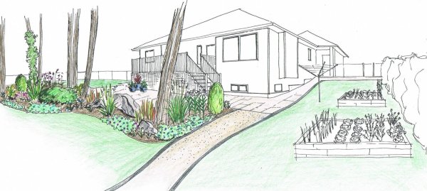 Приусадебный участок карандашом