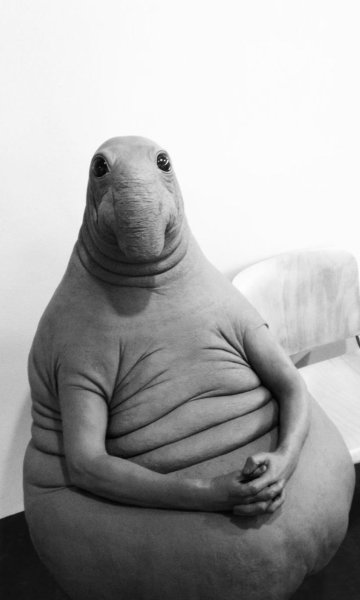 Ждун Мона Лиза