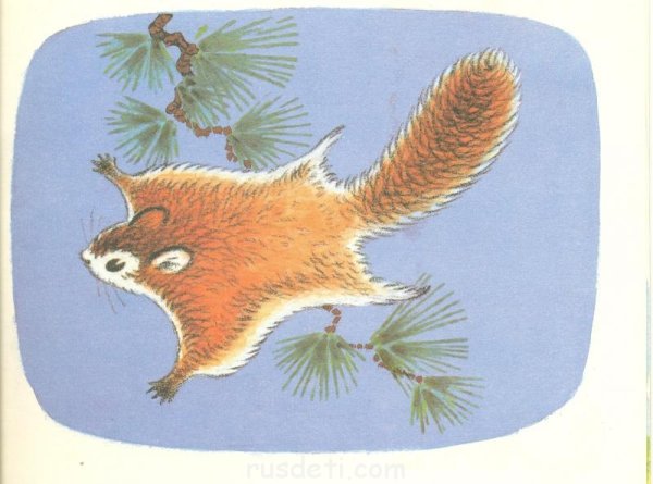 Виталий Бианки белка летяга