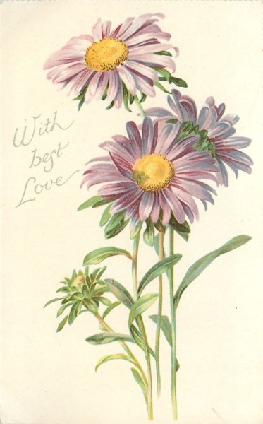 Цветы без фона