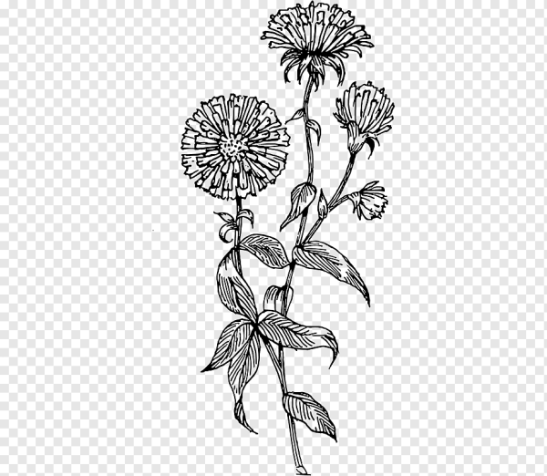 Вышивки с китайскими хризантемами