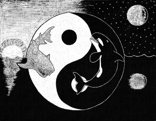 Инь Янь что черное а что белое