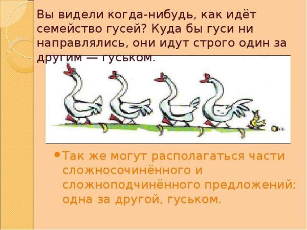 Гуси предложение