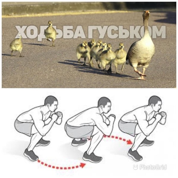 Как идти гусиным шагом