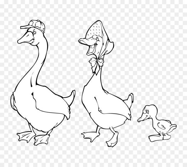 Гусь раскраска