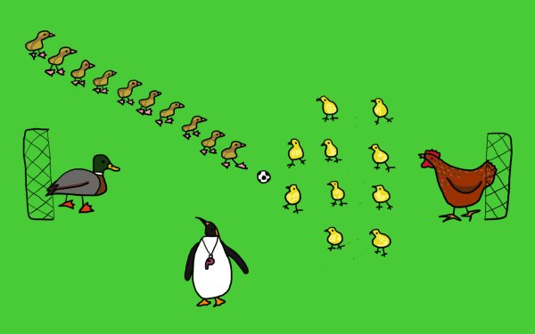 Утята идут гуськом