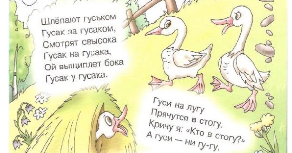 Шлепают гуськом Гусак с гусаком