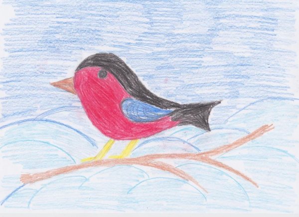 Наши пернатые друзья рисование