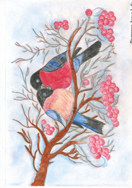 Рисование пернатые друзья