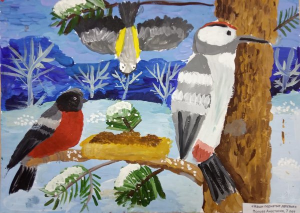 Наши пернатые друзья