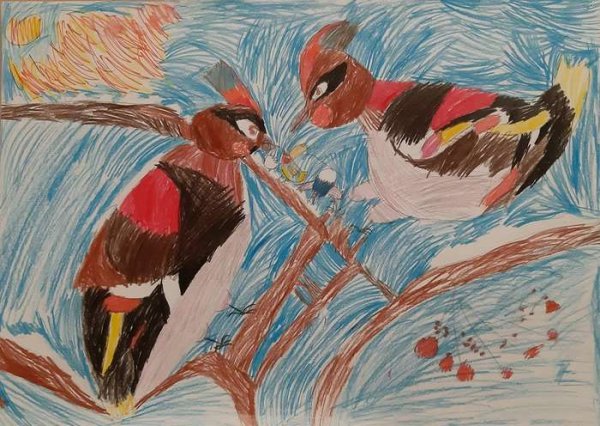 Конкурс рисунков пернатые друзья