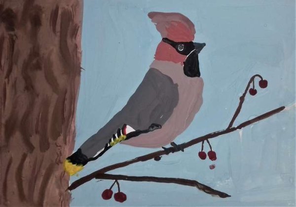 Рисование пернатые друзья старшая группа