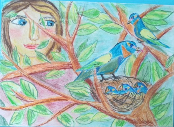 Наши пернатые друзья рисунки