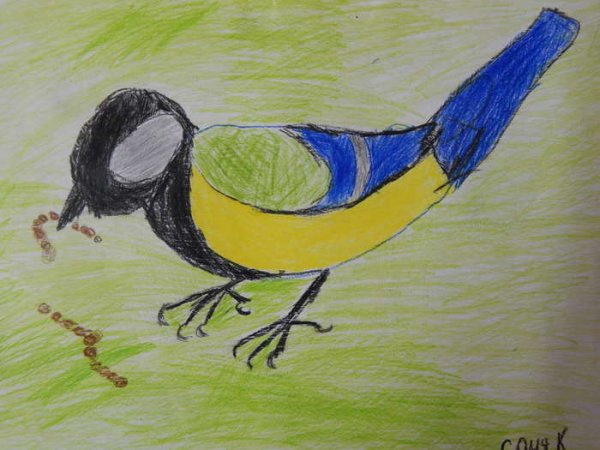 Пернатые друзья рисунки детей