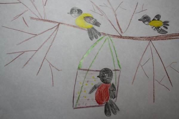 Рисование пернатые друзья
