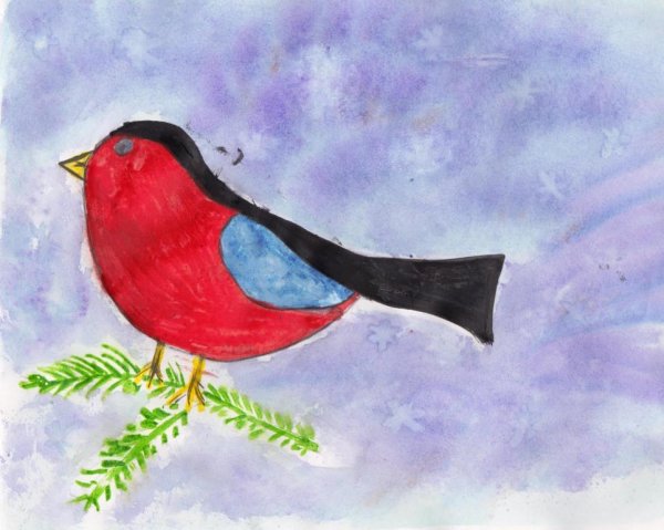 Рисунок на тему пернатые друзья