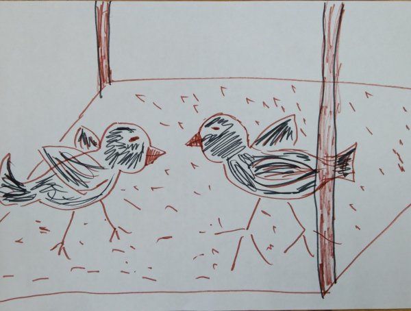 Рисунок на тему Возвращение пернатых друзей