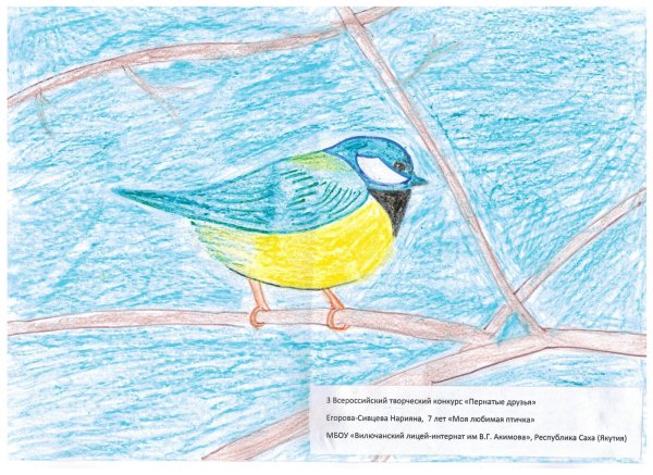 Конкурс птицы наши друзья