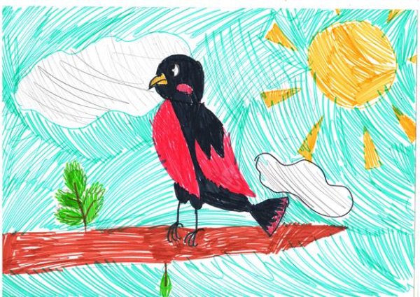 Рисуем пернатых друзей