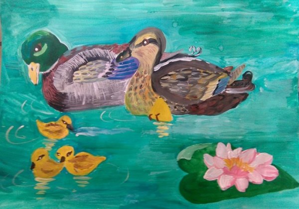 Кормушка для птиц рисунок